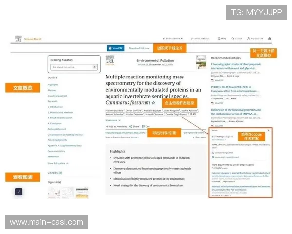 语义网技术实现体育数字资产智能关联检索